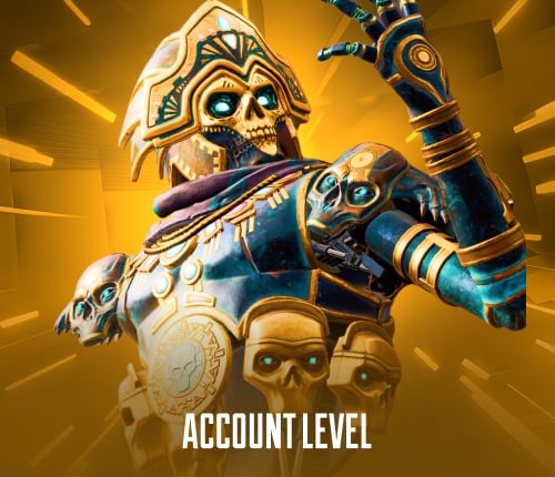 Account Level